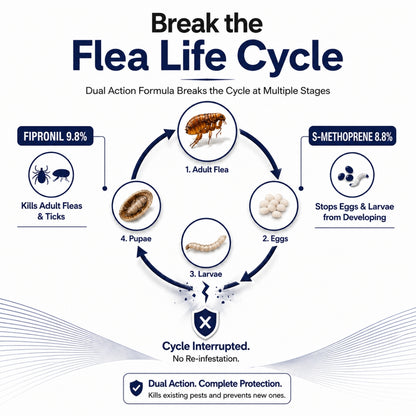 Richpet Fipomed Spot On for Medium Dogs (10-20kg)