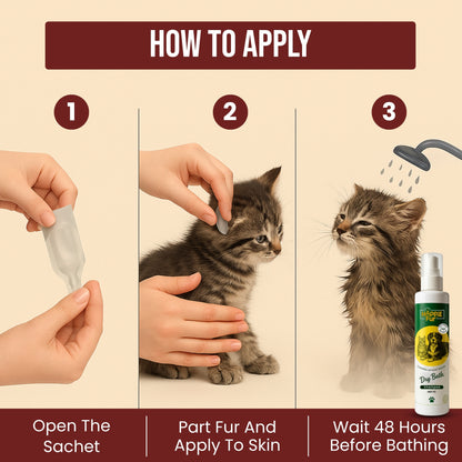 Richpet Kitty Karno Spot On for Cats & Kittens