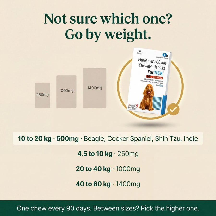 (10-20kg) 90-Day Tick & Flea Protection Chew