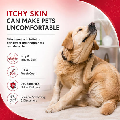 Fipronil 0.5% Medicated Flea & Tick Shampoo for Dogs & Cats | Antimicrobial Pet Shampoo for Flea, Tick & Skin Hygiene Care | Deep Cleansing Formula | 200 ml - Richpet StoreRichpet Store