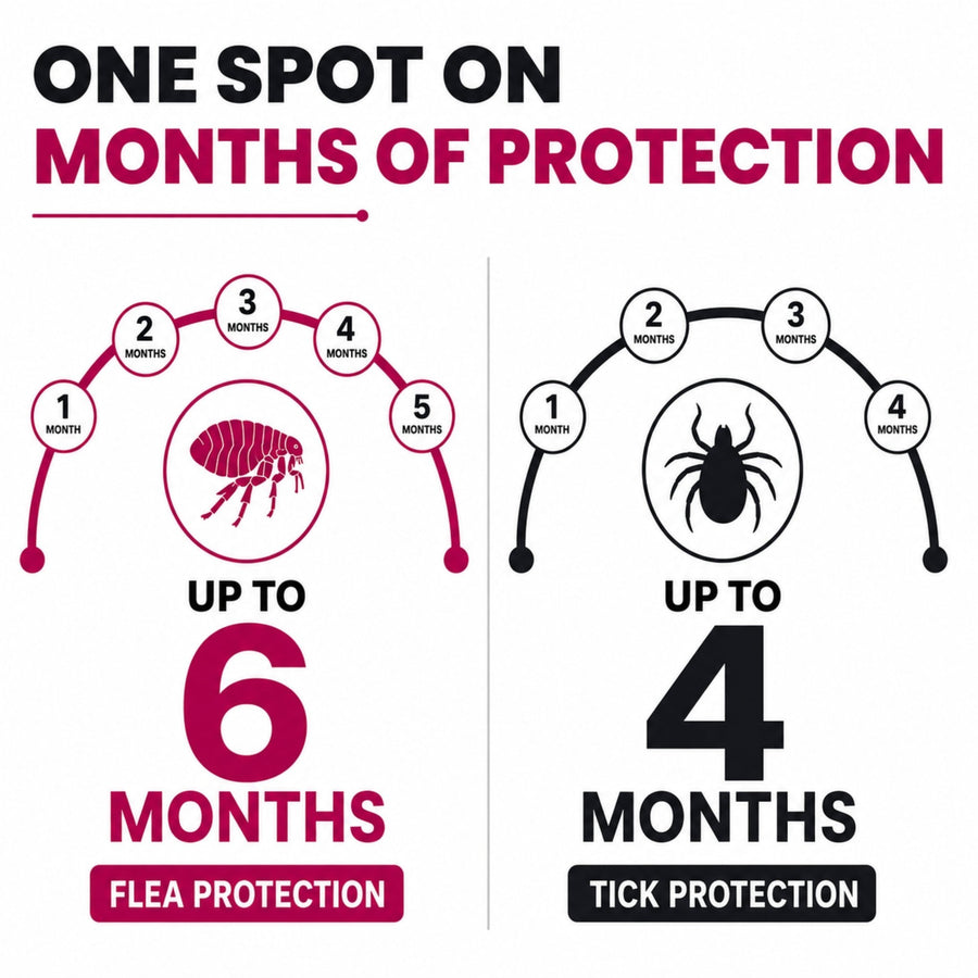 FurTick Fluralaner Spot On for Dogs (10–20 kg), Tick and Flea Remover for Dogs | Topical Pipette Up to 6 Months Flea & 4 Months Tick Protection - Richpet StoreRichpet Store