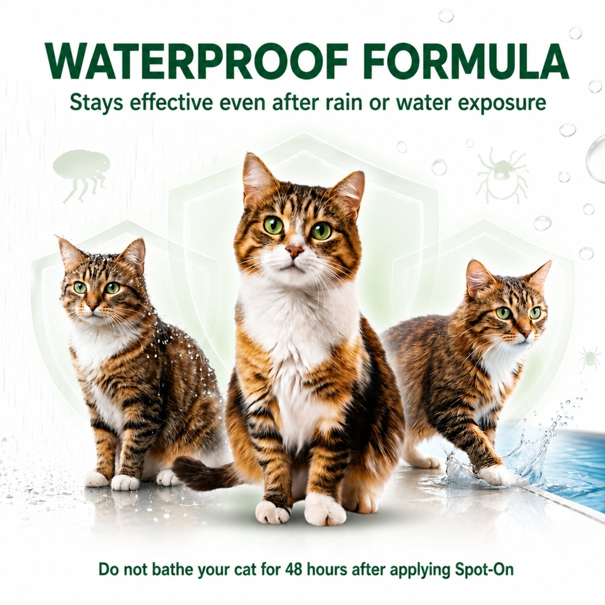 KittyMec Selamectin 6% Spot - On for Cats & Kittens | Advanced Flea & Tick Protection - Richpet StoreRichpet Store
