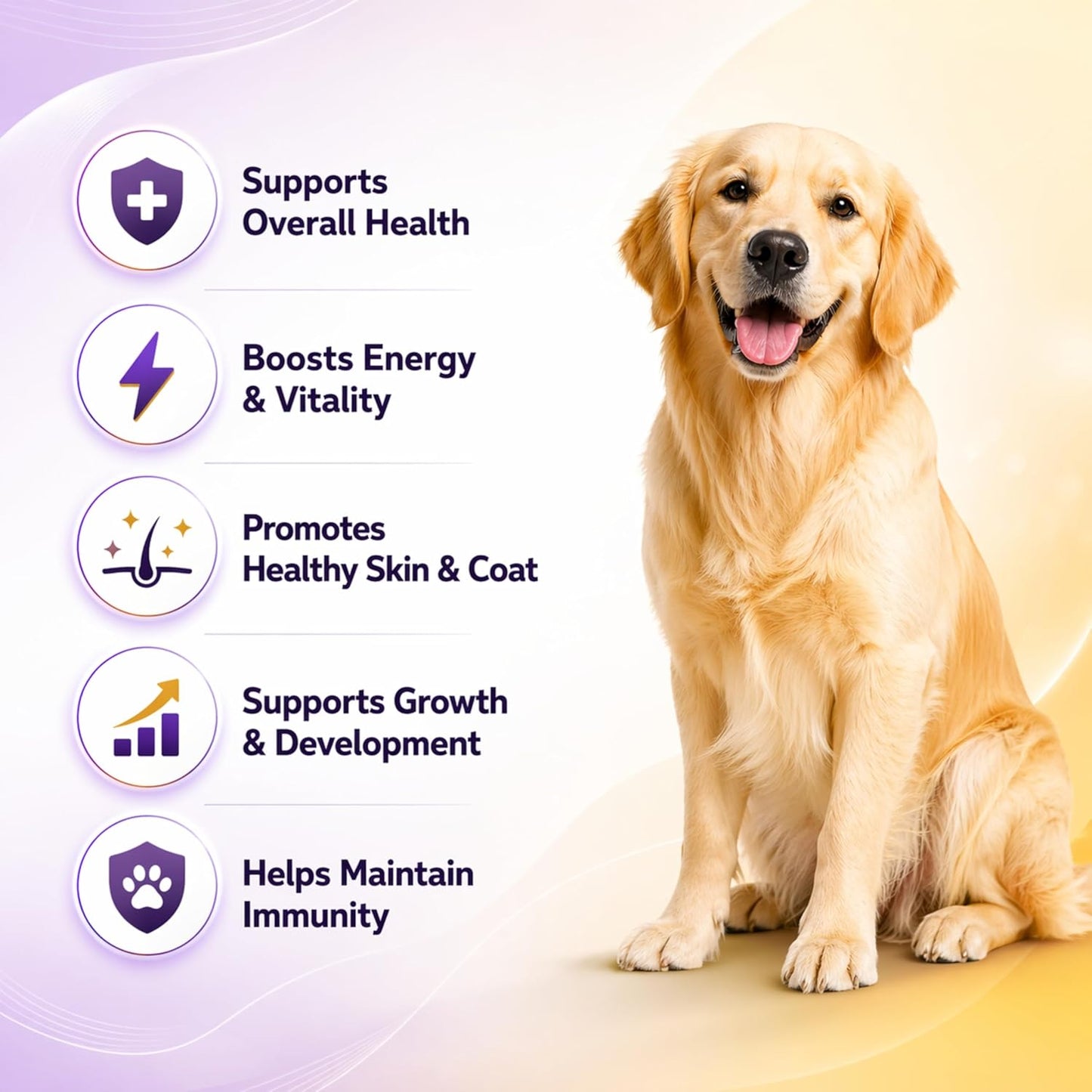 Logivit Multivitamin Syrup for Dogs & Cats | Daily Health Tonic for Immunity, Energy & Growth | Supports Skin & Coat | Vitamin, Mineral & Amino Acid Supplement - 225ml - Richpet StoreRichpet Store
