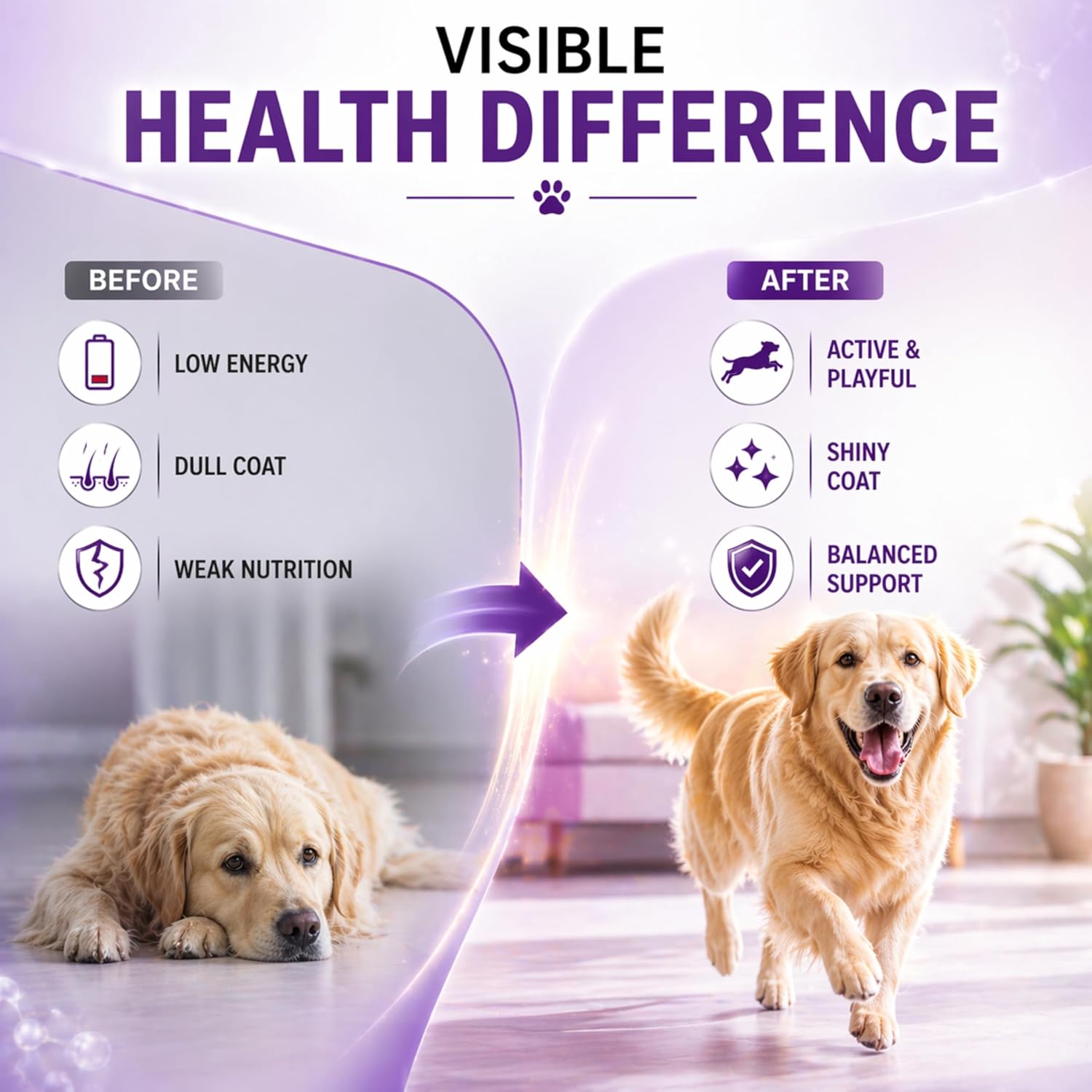 Logivit Multivitamin Syrup for Dogs & Cats | Daily Health Tonic for Immunity, Energy & Growth | Supports Skin & Coat | Vitamin, Mineral & Amino Acid Supplement - 225ml - Richpet StoreRichpet Store