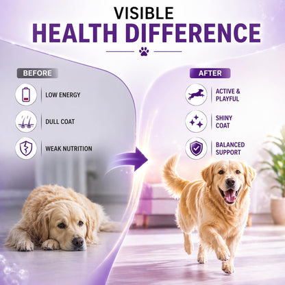 Logivit Multivitamin Syrup for Dogs & Cats | Daily Health Tonic for Immunity, Energy & Growth | Supports Skin & Coat | Vitamin, Mineral & Amino Acid Supplement - 225ml - Richpet StoreRichpet Store