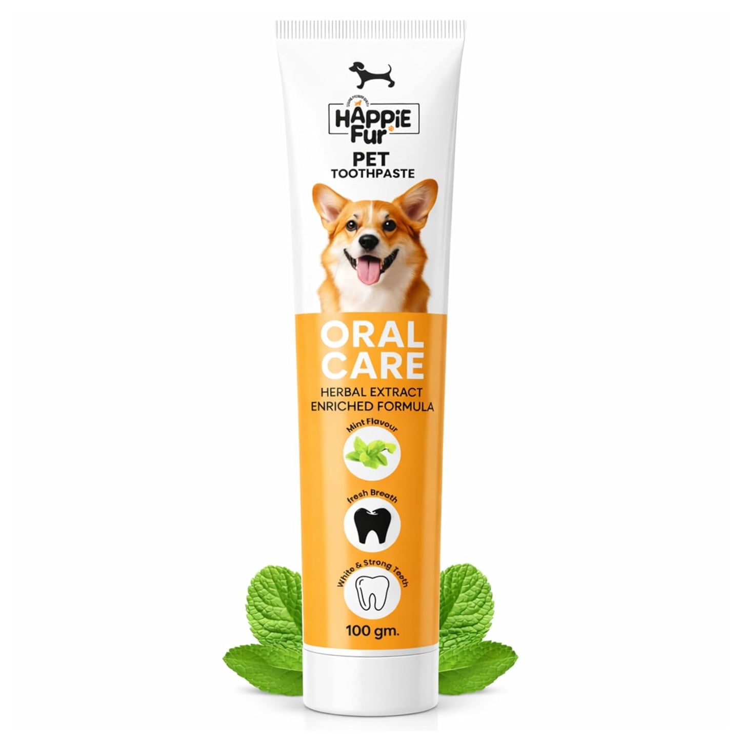 Mint Flavour Dog Toothpaste (100g) – Gently Removes Plaque & Tartar, Freshens Breath, and Supports Healthy Gums - Richpet StoreRichpet Store