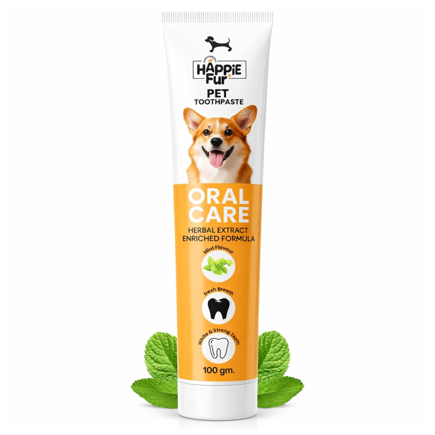 Mint Flavour Dog Toothpaste (100g) – Gently Removes Plaque & Tartar, Freshens Breath, and Supports Healthy Gums - Richpet StoreRichpet Store