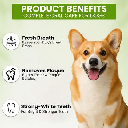 Mint Flavour Dog Toothpaste (100g) – Gently Removes Plaque & Tartar, Freshens Breath, and Supports Healthy Gums - Richpet StoreRichpet Store
