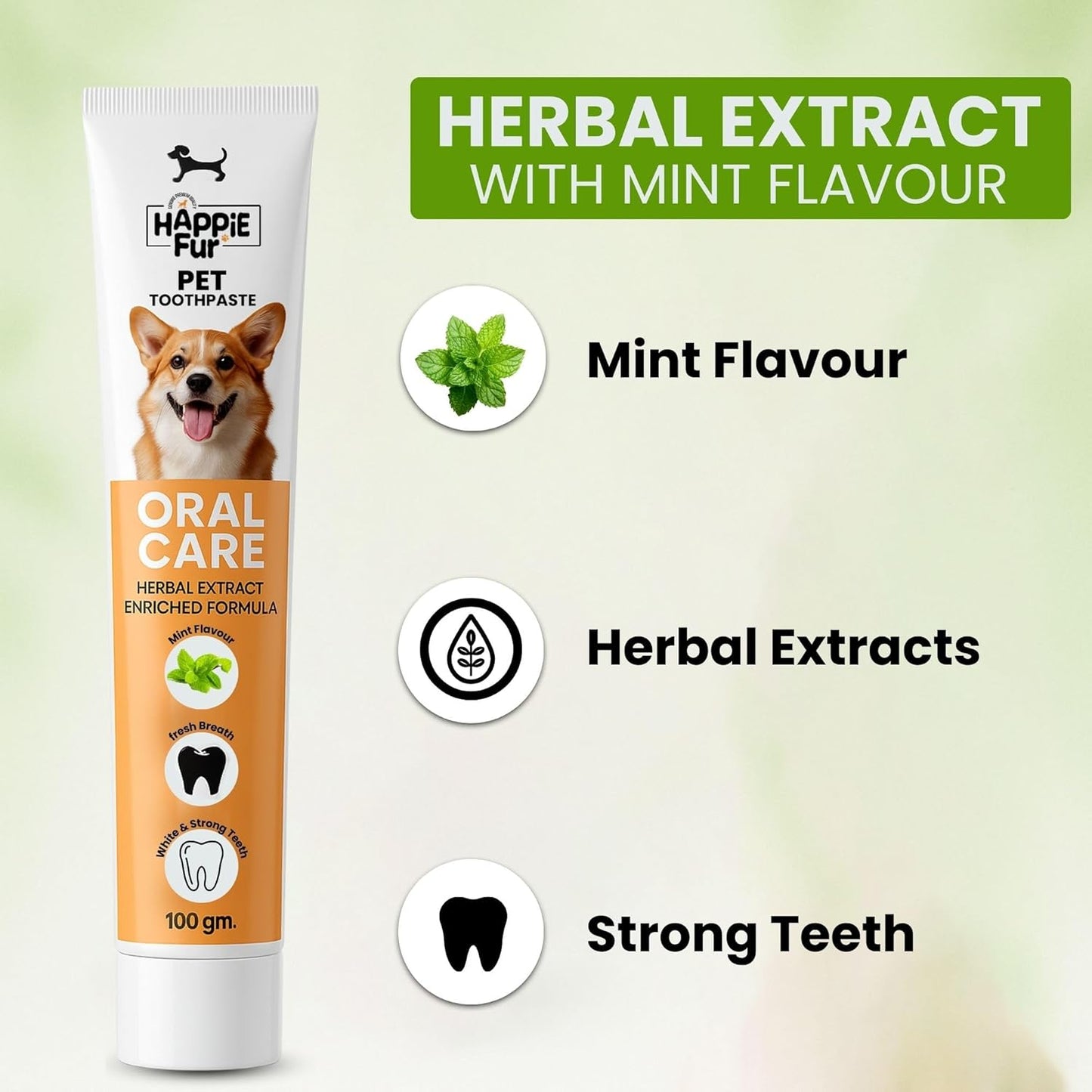 Mint Flavour Dog Toothpaste (100g) – Gently Removes Plaque & Tartar, Freshens Breath, and Supports Healthy Gums - Richpet StoreRichpet Store