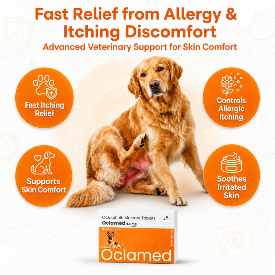 Oclamed™ Oclacitinib 5.4 mg — up to 11 kg - Richpet StoreRichpet Store