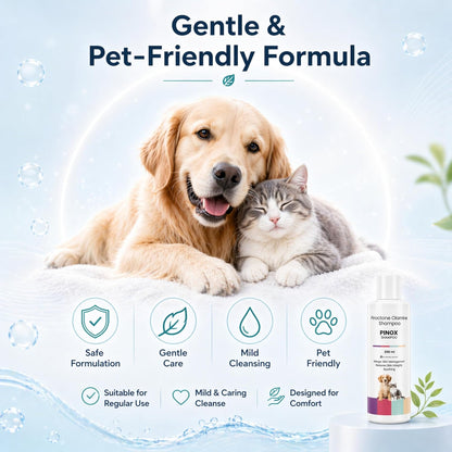 Pinox Shampoo for Dogs & Cats 200ml | Piroctone Olamine Formula for Itchy Skin Care & Coat Hygiene | Soothing Pet Cleanser for Sensitive Skin & Daily Grooming - Richpet StoreRichpet Store