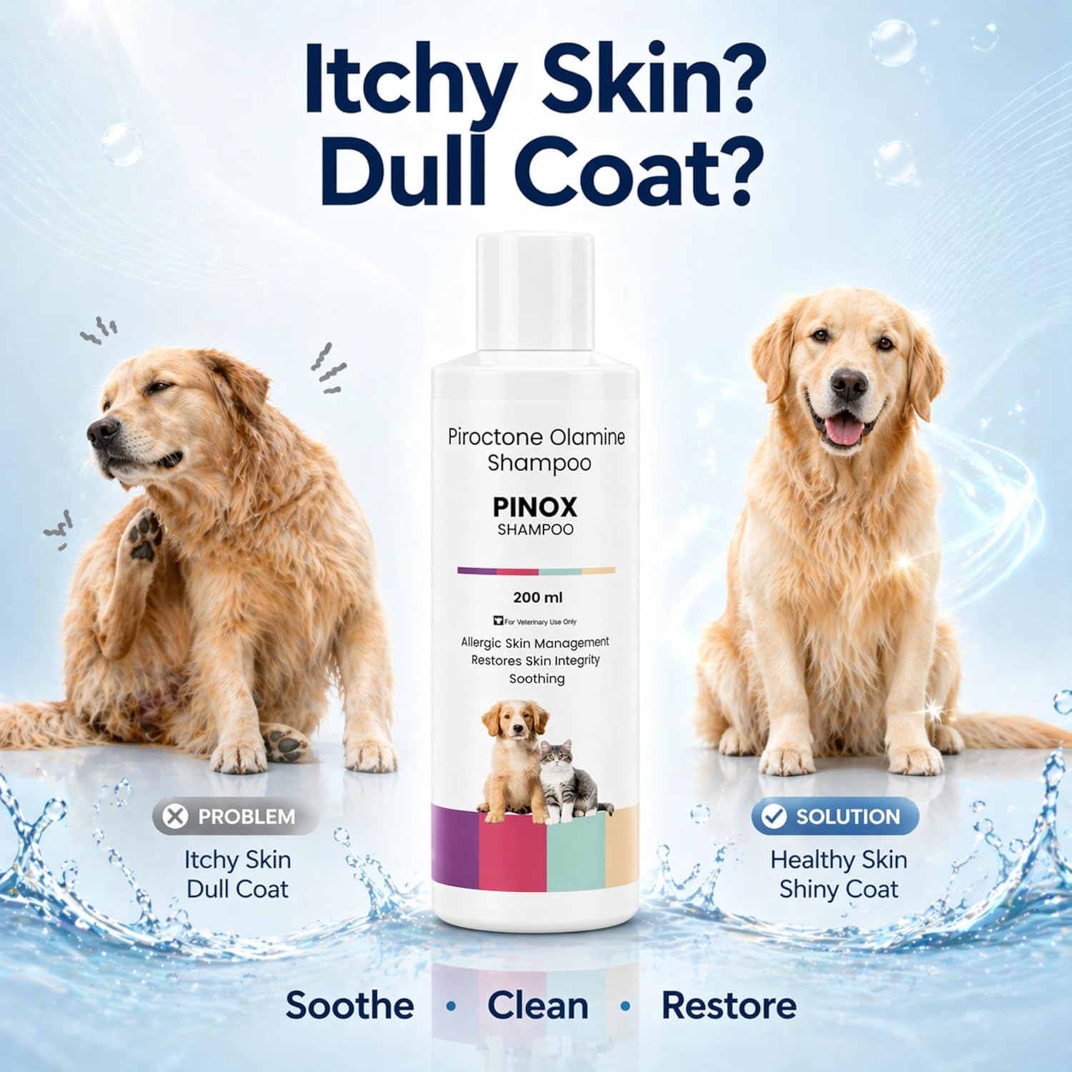 Pinox Shampoo for Dogs & Cats 200ml | Piroctone Olamine Formula for Itchy Skin Care & Coat Hygiene | Soothing Pet Cleanser for Sensitive Skin & Daily Grooming - Richpet StoreRichpet Store