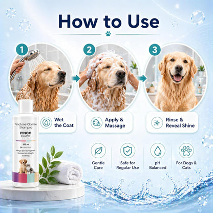 Pinox Shampoo for Dogs & Cats 200ml | Piroctone Olamine Formula for Itchy Skin Care & Coat Hygiene | Soothing Pet Cleanser for Sensitive Skin & Daily Grooming - Richpet StoreRichpet Store