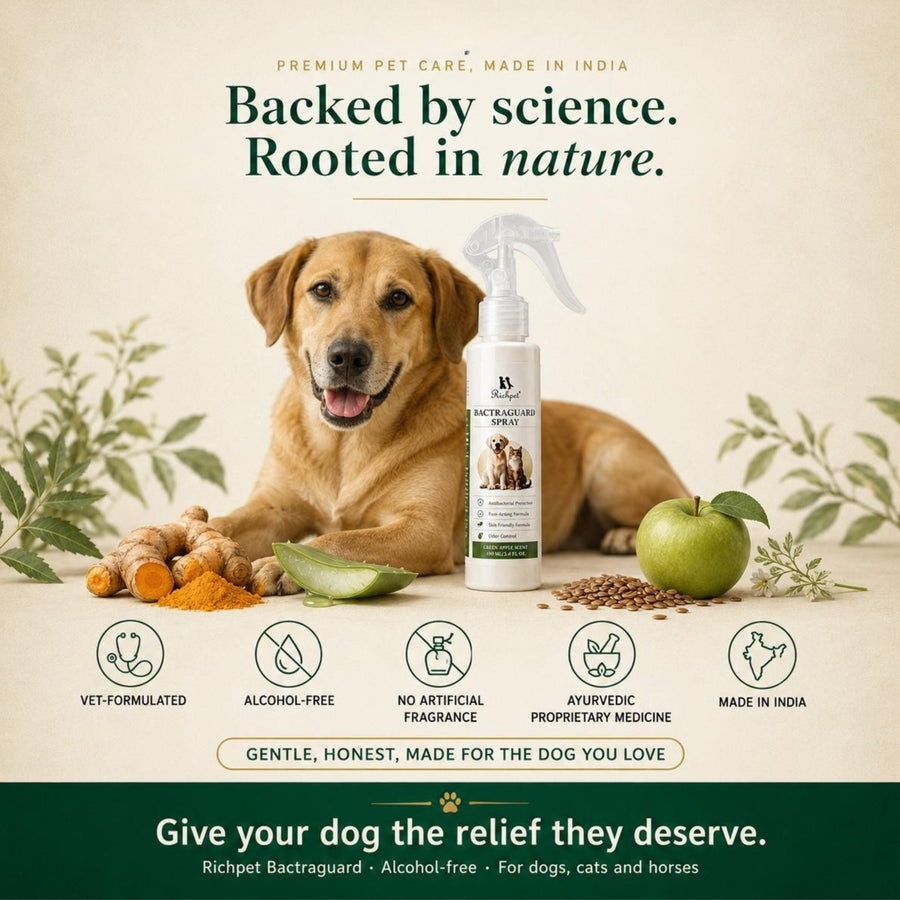Richpet Bactraguard Antibacterial Skin Spray for Dogs & Cats | Green Apple Scent | Cleanses, Protects & Controls Odour (100ml) - Richpet StoreRichpet Store