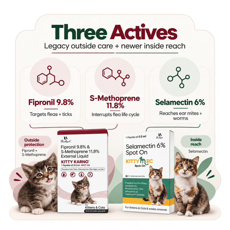 Richpet Complete Cat Parasite Protection Bundle | 2-Month Rotation | Fleas, Ticks, Lice, Ear Mites, Roundworms, Hookworms & Heartworm - Richpet StoreRichpet Store