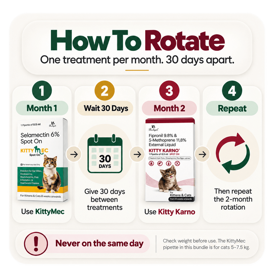 Richpet Complete Cat Parasite Protection Bundle | 2-Month Rotation | Fleas, Ticks, Lice, Ear Mites, Roundworms, Hookworms & Heartworm - Richpet StoreRichpet Store