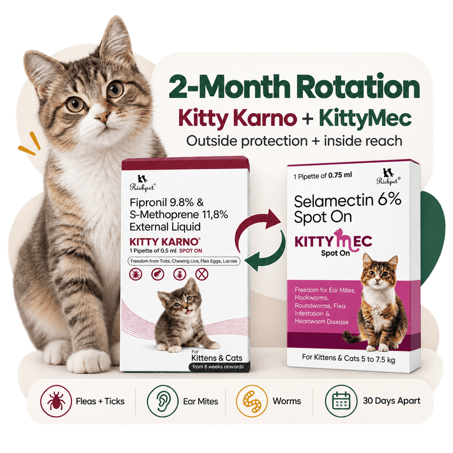 Richpet Complete Cat Parasite Protection Bundle | 2-Month Rotation | Fleas, Ticks, Lice, Ear Mites, Roundworms, Hookworms & Heartworm - Richpet StoreRichpet Store
