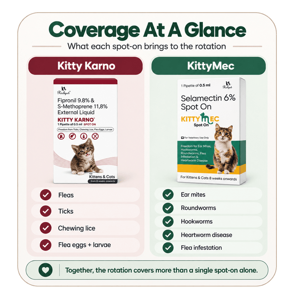 Richpet Complete Cat Parasite Protection Bundle | 2-Month Rotation | Fleas, Ticks, Lice, Ear Mites, Roundworms, Hookworms & Heartworm - Richpet StoreRichpet Store