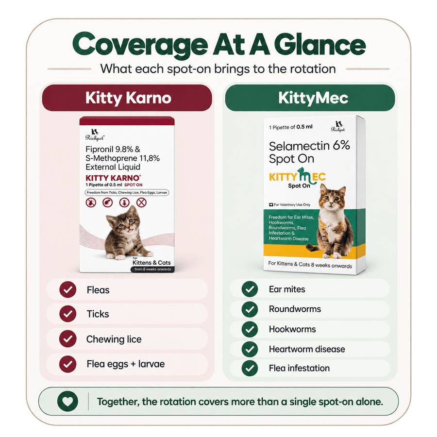 Richpet Complete Cat Parasite Protection Bundle | 2-Month Rotation | Fleas, Ticks, Lice, Ear Mites, Roundworms, Hookworms & Heartworm - Richpet StoreRichpet Store