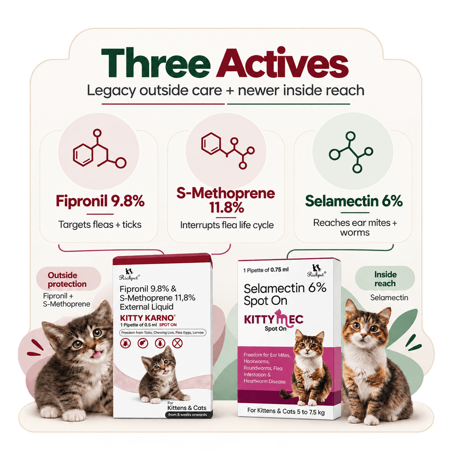 Richpet Complete Cat Parasite Protection Bundle | 2-Month Rotation | Fleas, Ticks, Lice, Ear Mites, Roundworms, Hookworms & Heartworm - Richpet StoreRichpet Store