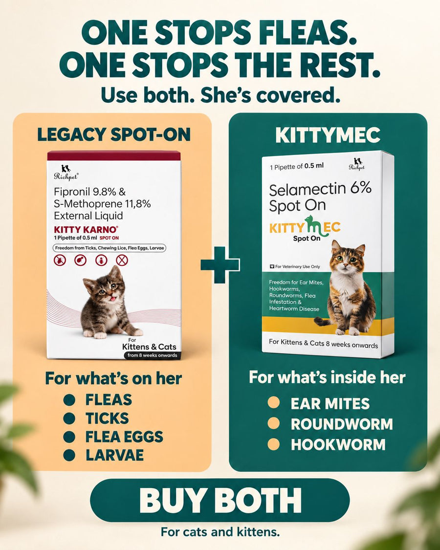 Richpet Complete Cat Parasite Protection Bundle | 2-Month Rotation | Fleas, Ticks, Lice, Ear Mites, Roundworms, Hookworms & Heartworm - Richpet StoreRichpet Store