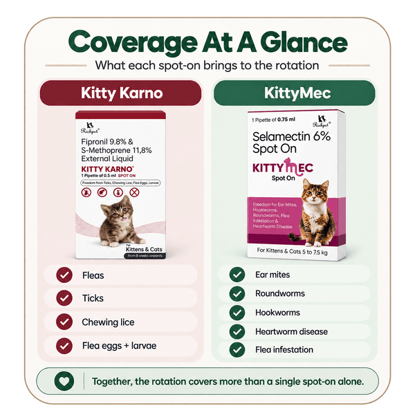 Richpet Complete Cat Parasite Protection Bundle | 2-Month Rotation | Fleas, Ticks, Lice, Ear Mites, Roundworms, Hookworms & Heartworm - Richpet StoreRichpet Store