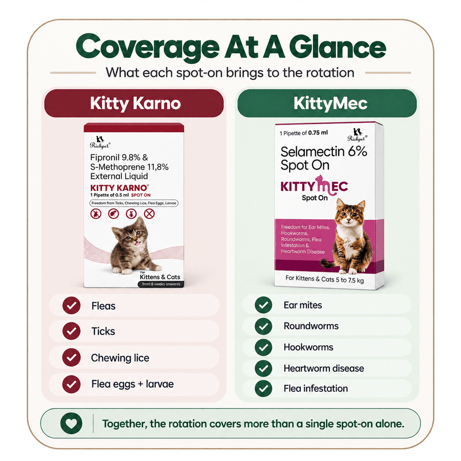 Richpet Complete Cat Parasite Protection Bundle | 2-Month Rotation | Fleas, Ticks, Lice, Ear Mites, Roundworms, Hookworms & Heartworm - Richpet StoreRichpet Store