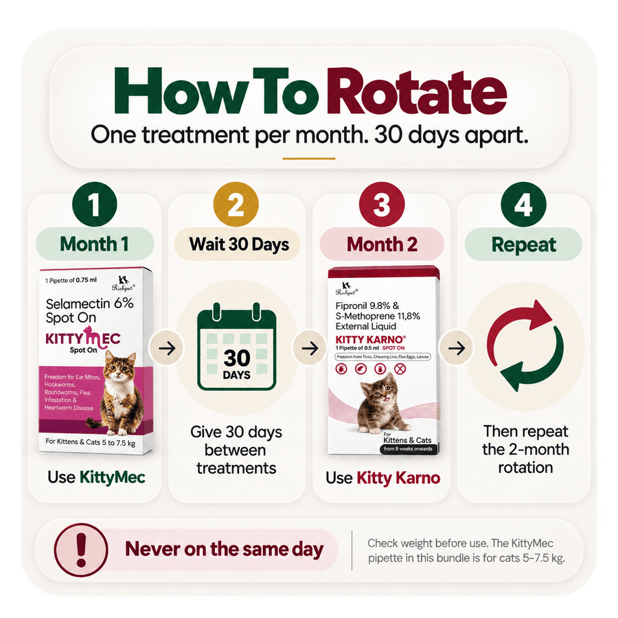 Richpet Complete Cat Parasite Protection Bundle | 2-Month Rotation | Fleas, Ticks, Lice, Ear Mites, Roundworms, Hookworms & Heartworm - Richpet StoreRichpet Store
