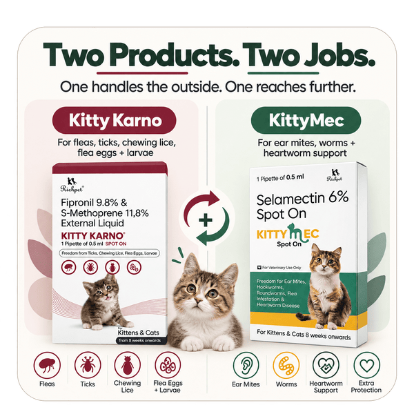 Richpet Complete Cat Parasite Protection Bundle | 2-Month Rotation | Fleas, Ticks, Lice, Ear Mites, Roundworms, Hookworms & Heartworm - Richpet StoreRichpet Store