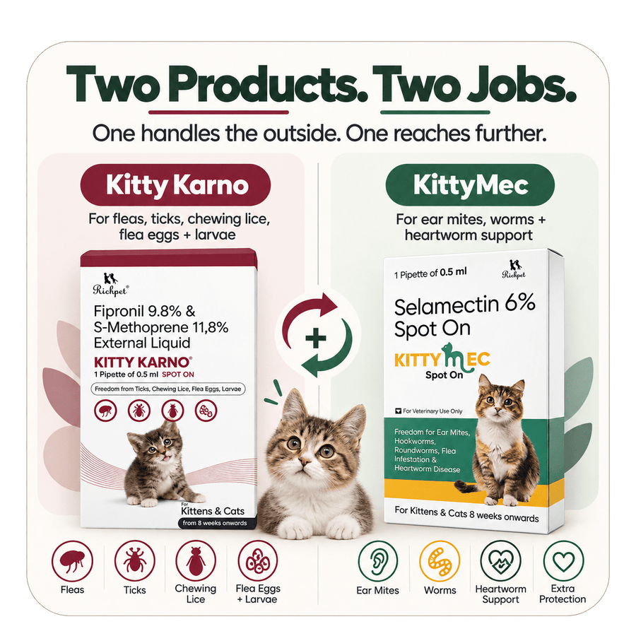 Richpet Complete Cat Parasite Protection Bundle | 2-Month Rotation | Fleas, Ticks, Lice, Ear Mites, Roundworms, Hookworms & Heartworm - Richpet StoreRichpet Store
