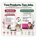 Richpet Complete Cat Parasite Protection Bundle | 2-Month Rotation | Fleas, Ticks, Lice, Ear Mites, Roundworms, Hookworms & Heartworm