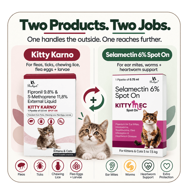 Richpet Complete Cat Parasite Protection Bundle | 2-Month Rotation | Fleas, Ticks, Lice, Ear Mites, Roundworms, Hookworms & Heartworm - Richpet StoreRichpet Store