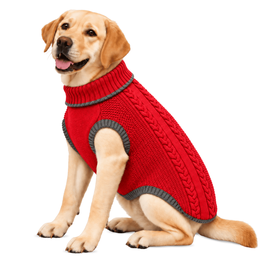 Richpet Cozy Knit Turtleneck Dog Sweater | Soft Stretchable Acrylic Winter Pullover | Machine Washable | Dark Red - Richpet StoreRichpet Store