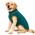 Richpet Knit Turtleneck Dog Sweater, Green (Sizes S to 4XL)