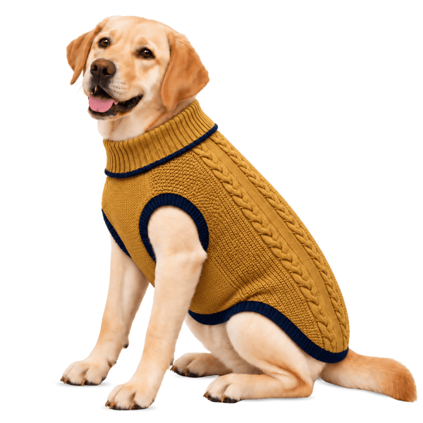 Richpet Cozy Knit Turtleneck Dog Sweater | Soft Stretchable Acrylic Winter Pullover | Machine Washable | Mustard - Richpet StoreRichpet Store