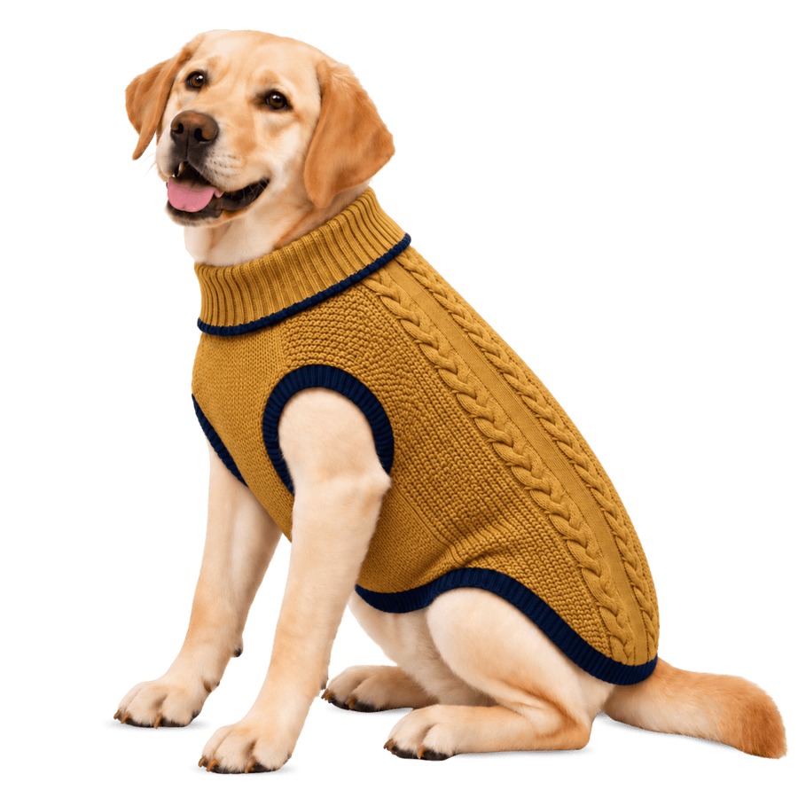 Richpet Cozy Knit Turtleneck Dog Sweater | Soft Stretchable Acrylic Winter Pullover | Machine Washable | Mustard - Richpet StoreRichpet Store