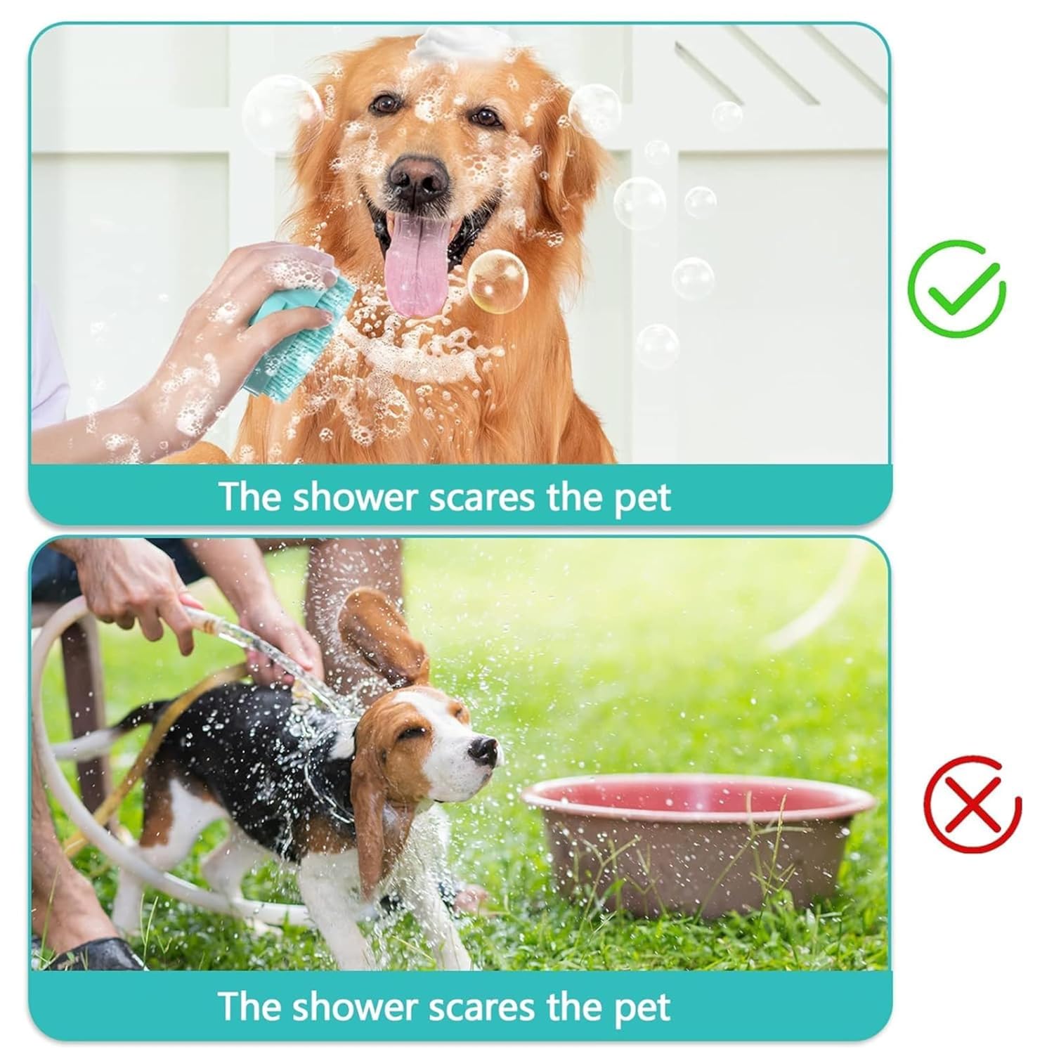 Richpet Dog Bath Brush with Shampoo Dispenser – Soft Silicone Grooming & Massage Brush - Richpet StoreRichpet Store