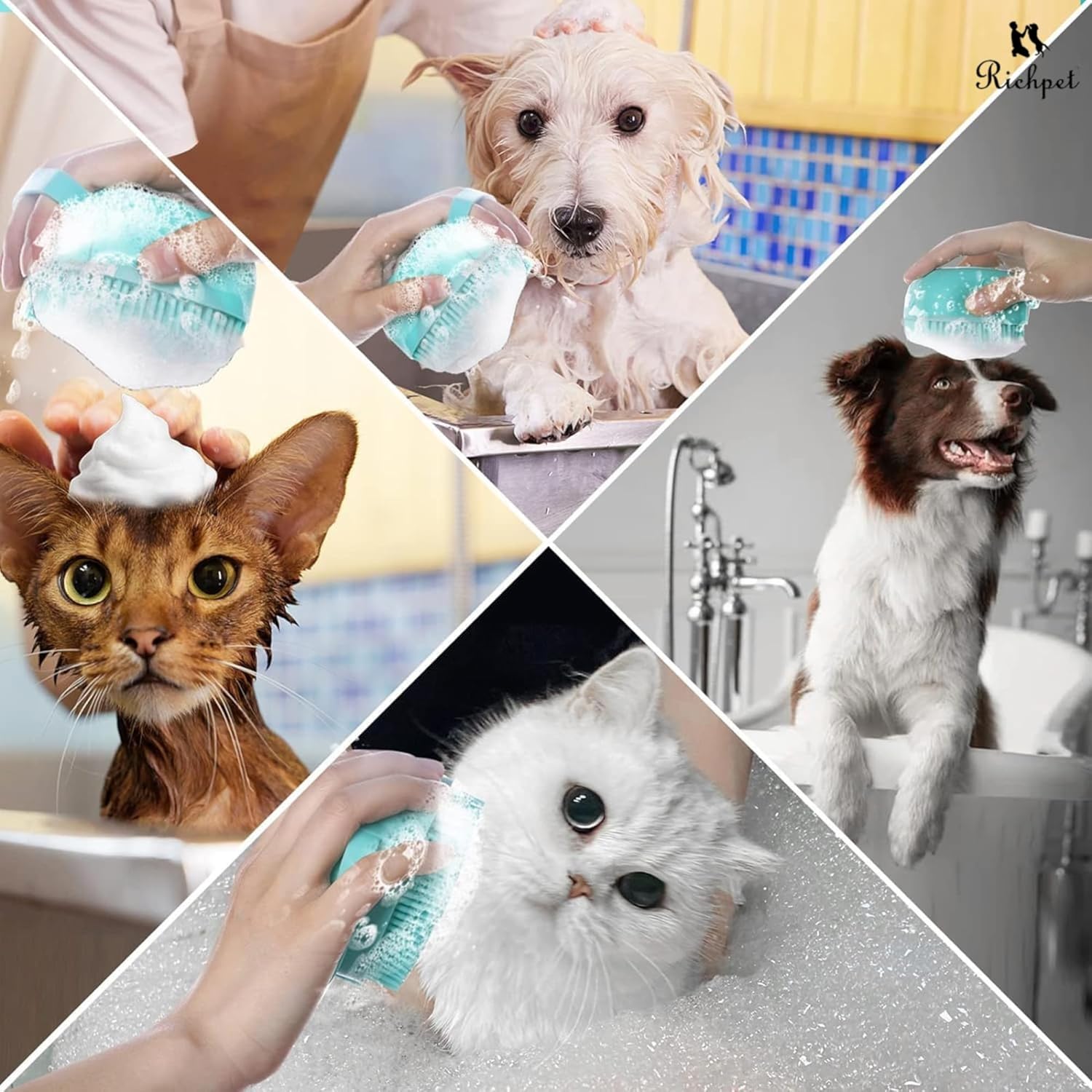 Richpet Dog Bath Brush with Shampoo Dispenser – Soft Silicone Grooming & Massage Brush - Richpet StoreRichpet Store