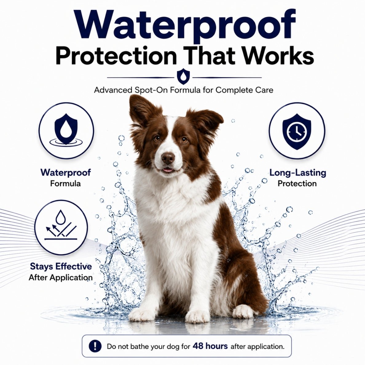 Richpet Fipomed Spot On for Medium Dogs (10 - 20kg) - Richpet StoreRichpet Store