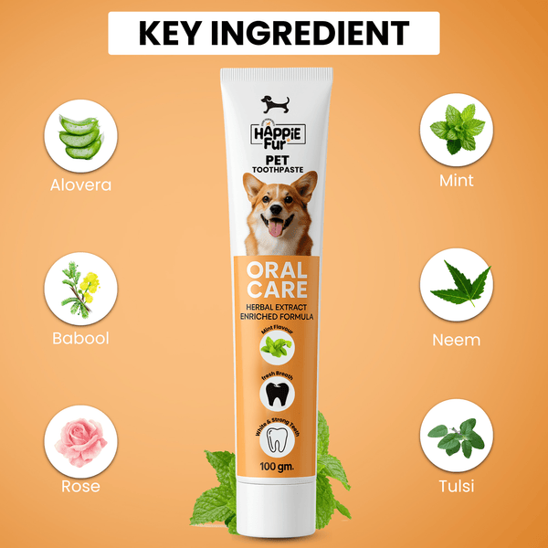 Richpet Herbal Pet Toothpaste for Dogs | Mint Flavour | Fights Bad Breath & Supports Clean, Strong Teeth | No Rinse Needed (100g) - Richpet StoreRichpet Store