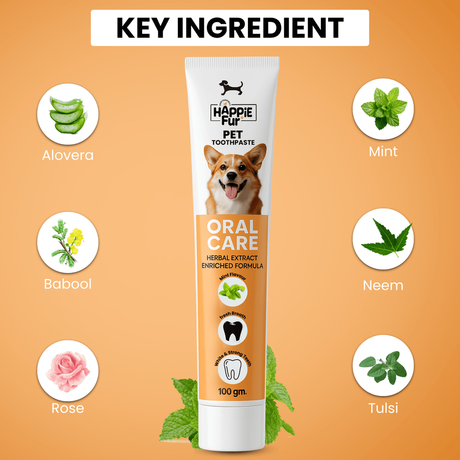 Richpet Herbal Pet Toothpaste for Dogs | Mint Flavour | Fights Bad Breath & Supports Clean, Strong Teeth | No Rinse Needed (100g) - Richpet StoreRichpet Store