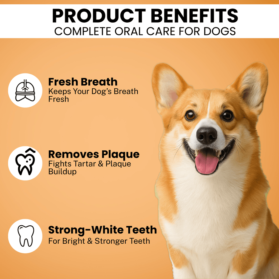 Richpet Herbal Pet Toothpaste for Dogs | Mint Flavour | Fights Bad Breath & Supports Clean, Strong Teeth | No Rinse Needed (100g) - Richpet StoreRichpet Store