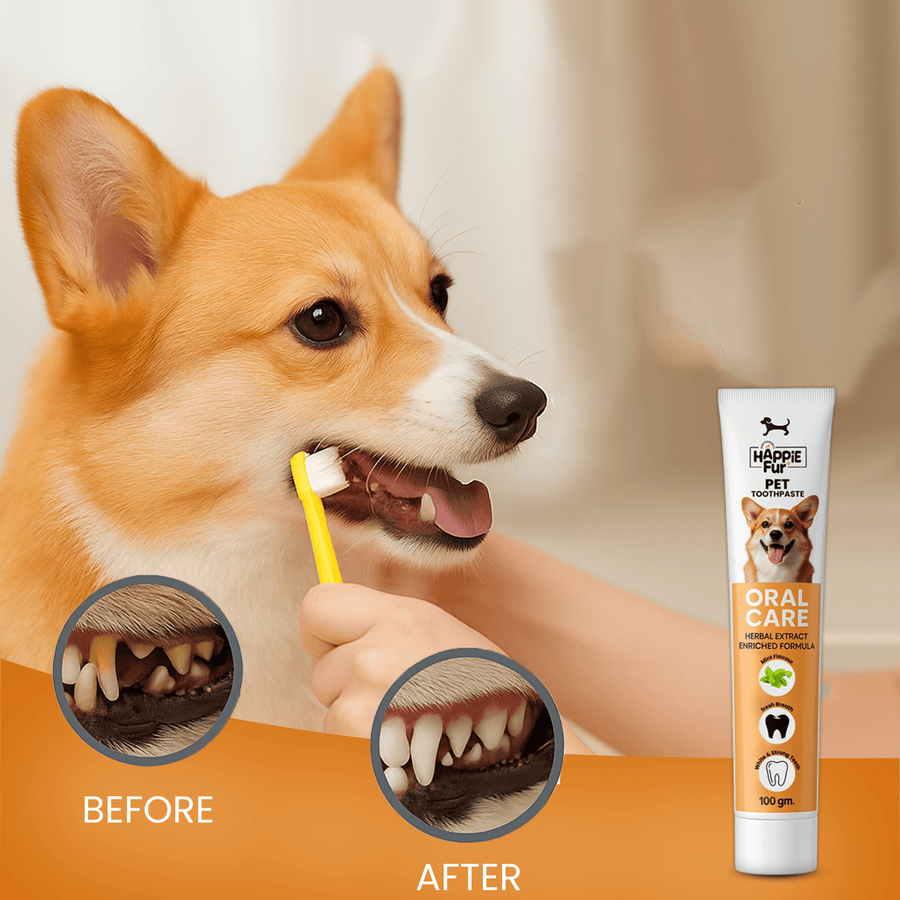 Richpet Herbal Pet Toothpaste for Dogs | Mint Flavour | Fights Bad Breath & Supports Clean, Strong Teeth | No Rinse Needed (100g) - Richpet StoreRichpet Store