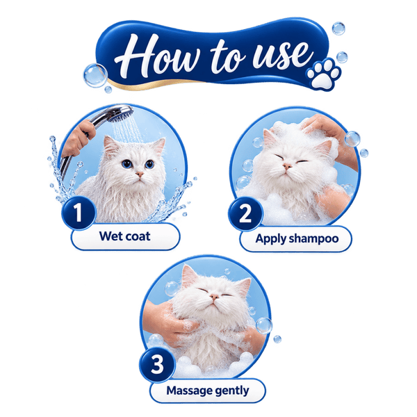 Richpet Kitty Karno Cat Shampoo | Tea Tree & Aloe Vera with Vitamin E | Removes Dryness & Itchiness for a Fresh, Clean Coat (300ml) - Richpet StoreRichpet Store