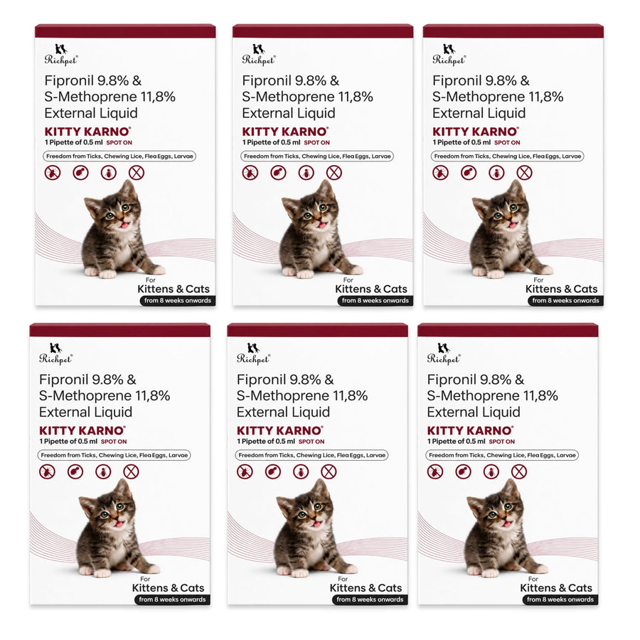 Richpet Kitty Karno Spot-On for Cats & Kittens | Kills Fleas, Ticks, Lice Plus Flea Eggs & Larvae | From 8 Weeks - Richpet StoreRichpet Store