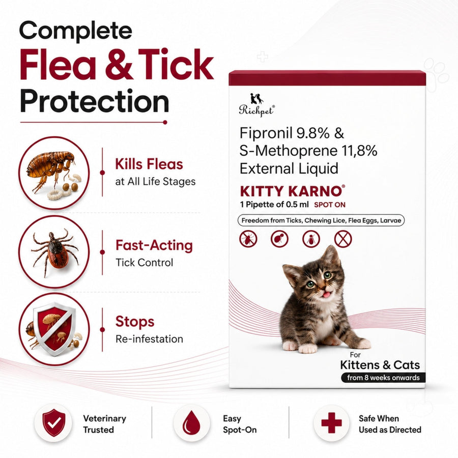 Richpet Kitty Karno Spot-On for Cats & Kittens | Kills Fleas, Ticks, Lice Plus Flea Eggs & Larvae | From 8 Weeks - Richpet StoreRichpet Store