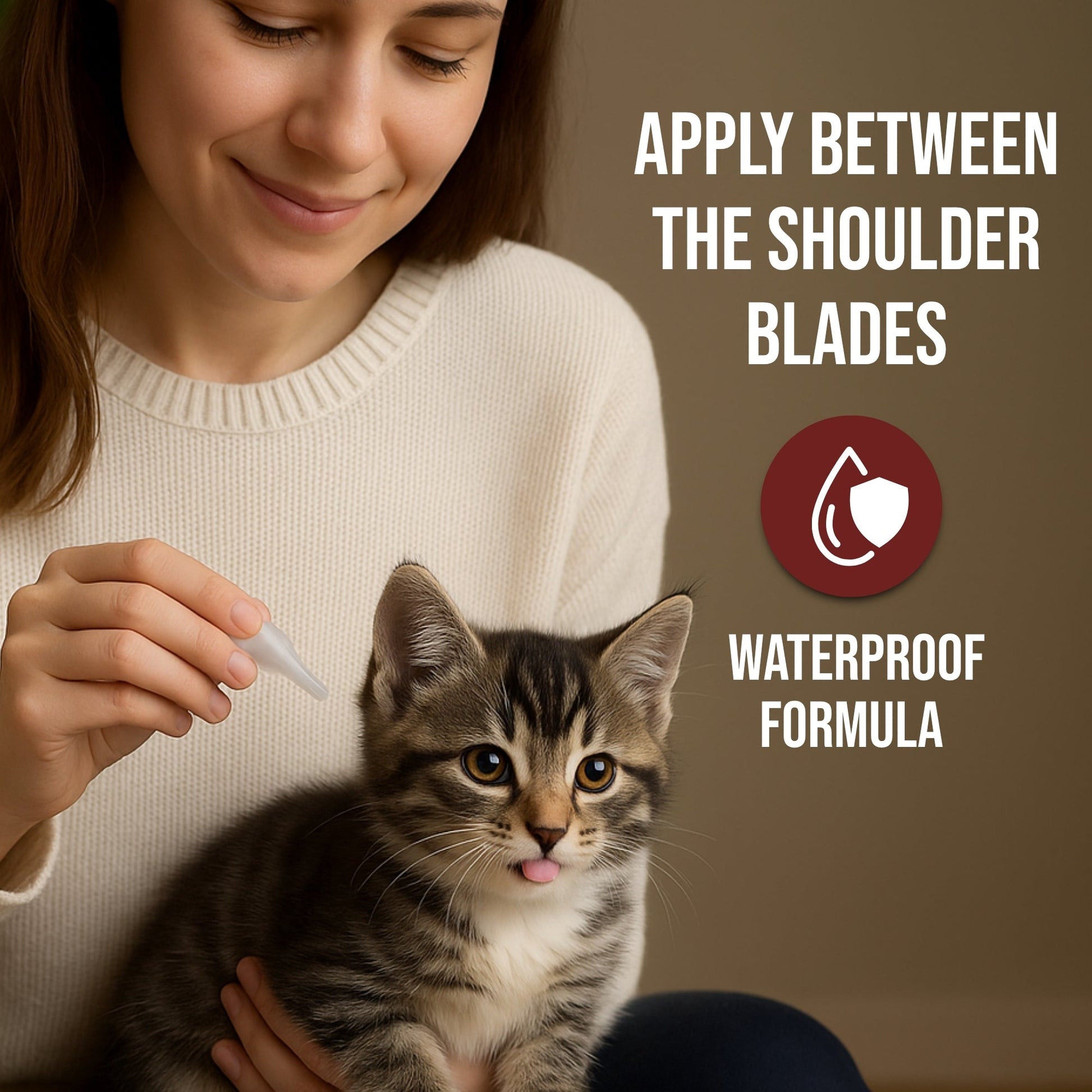 Richpet Kitty Karno Spot On for Cats & Kittens - Richpet StoreRichpet Store
