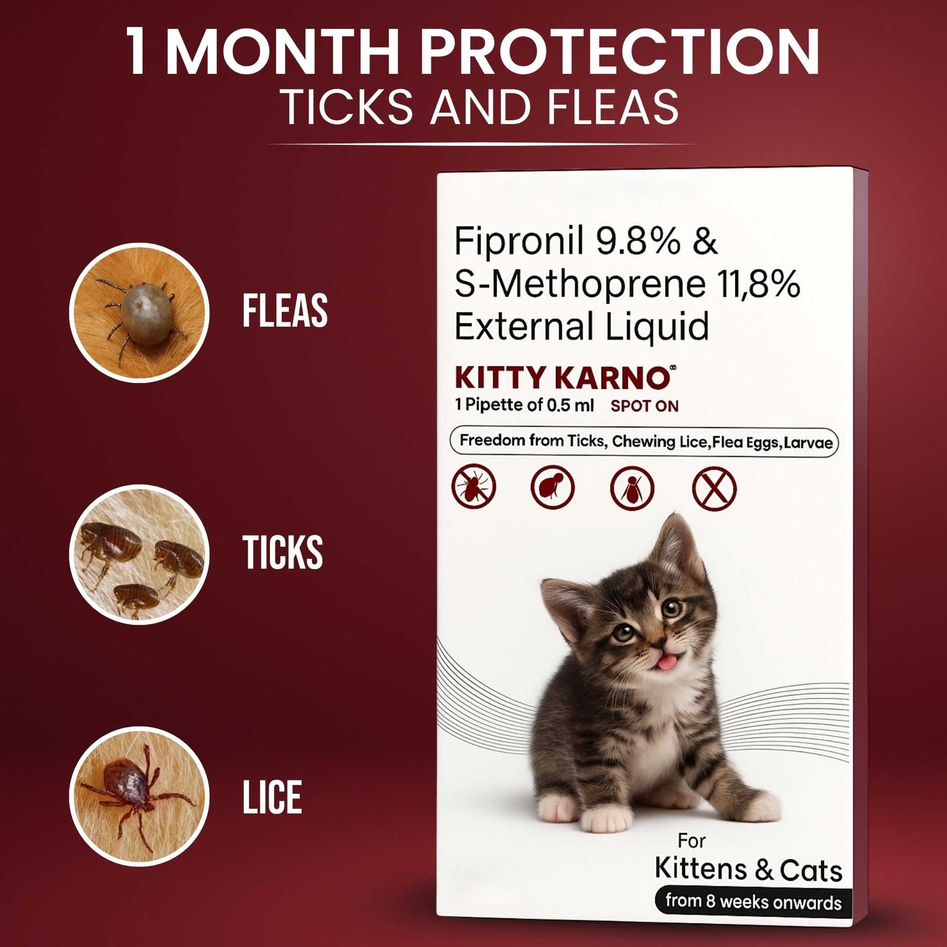 Richpet Kitty Karno Spot On for Cats & Kittens - Richpet StoreRichpet Store