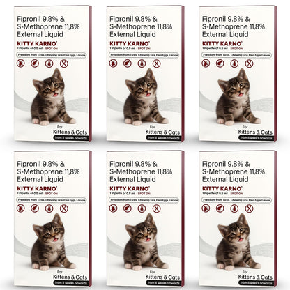 Richpet Kitty Karno's Flea And Tick Control - Effective Cat Flea Prevention - Richpet StoreRichpet Store
