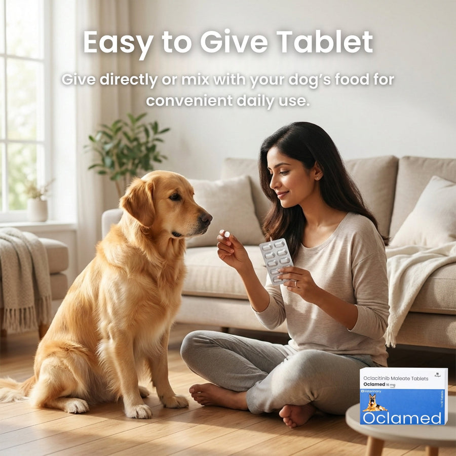 Richpet Oclamed Oclacitinib Tablets for Dogs 16 mg – Allergy & Itch Support - Richpet StoreRichpet Store